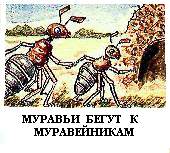 Муравьи бегут к муравейникам